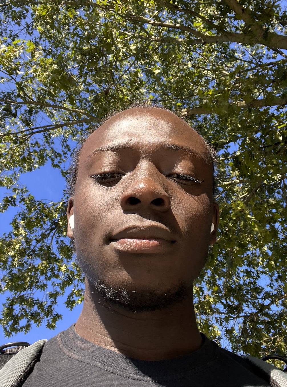 Close selfie shot from below, sunlit, against an oak canopy and blue sky.